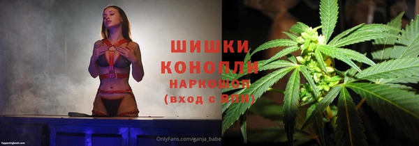молекула духа Богородск