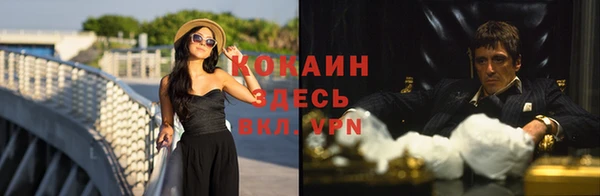 таблы Богданович
