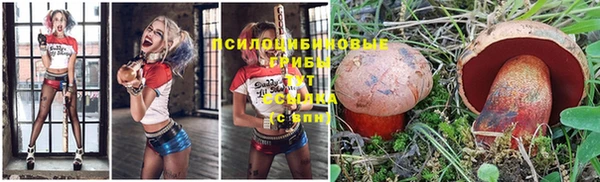 таблы Богданович