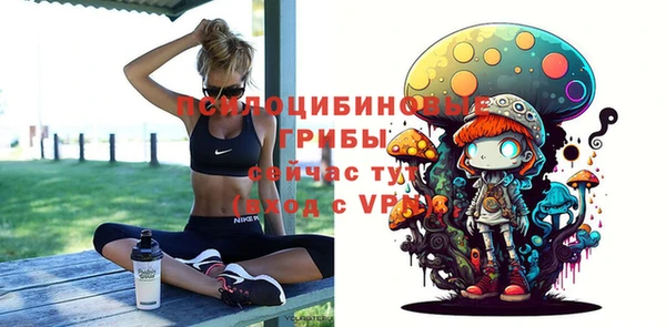 таблы Богданович