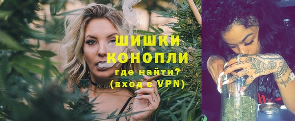 первитин Богородицк