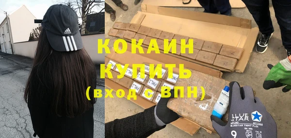 молекула духа Богородск