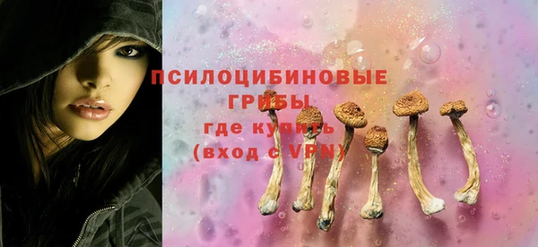 первитин Богородицк
