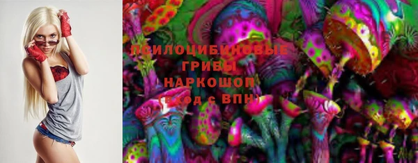 молекула духа Богородск