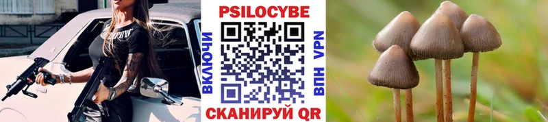 ОМГ ОМГ   Коряжма  Галлюциногенные грибы Psilocybe  где купить наркоту 
